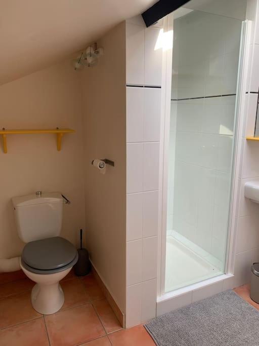 Maison 3 Chambres, Piscine, 2 Hectares De Jardin La Sauvetat-du-Dropt Eksteriør bilde